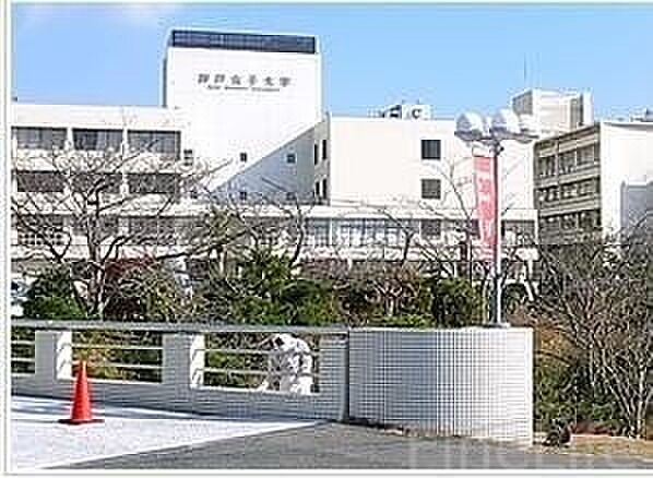 画像30:神戸女子大学 1655m