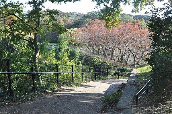 画像29:奥須磨公園 1587m