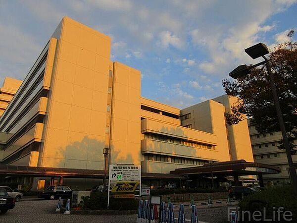 画像29:神戸大学医学部附属病院 564m