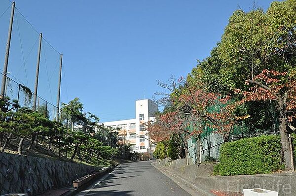 画像30:神戸市立横尾中学校 853m