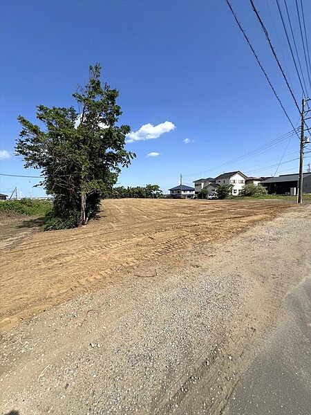 現地写真