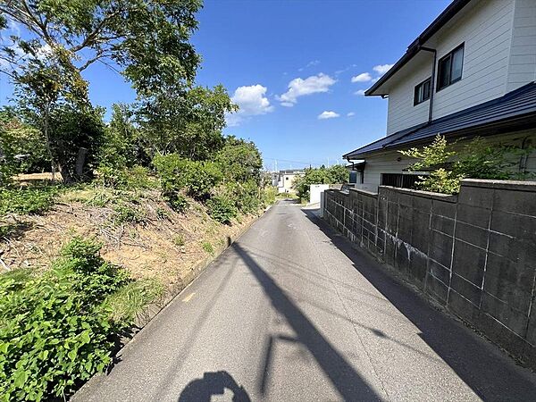 前面道路（南側）