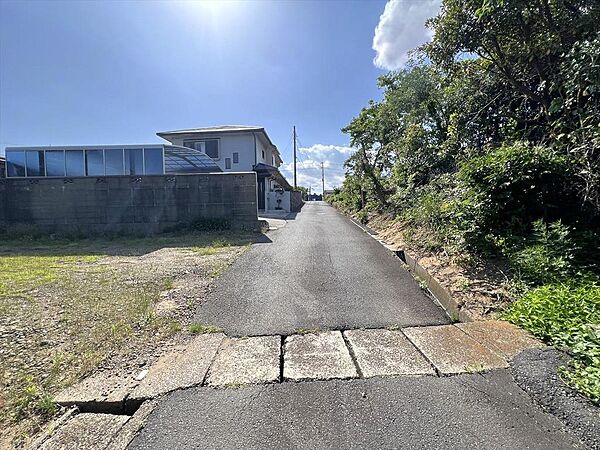 前面道路（南側）
