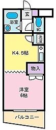 ウィステリア藤原 1Kの間取図画像