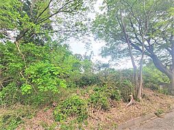 千葉県袖ケ浦市野里