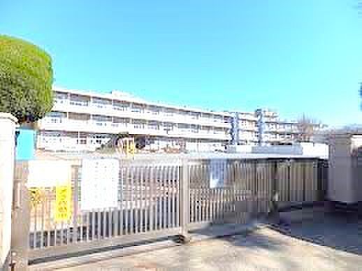 千葉市立検見川小学校（250m）