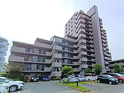 エヴァーグリーン柏Ｄ棟