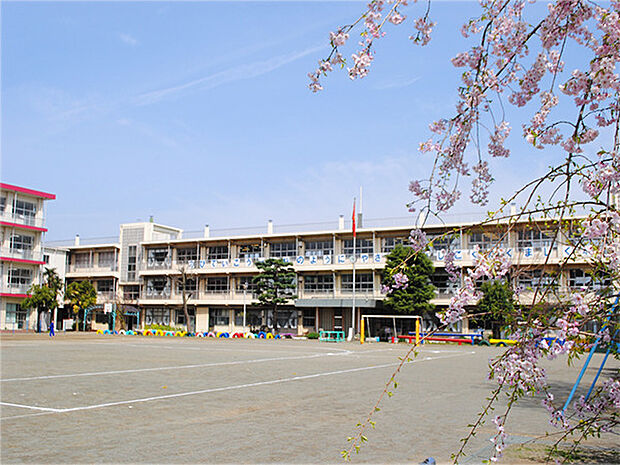 千葉市立本町小学校(350m)