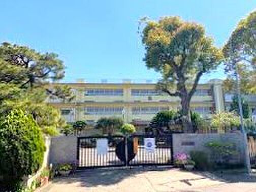 千葉市立末広中学校(800m)