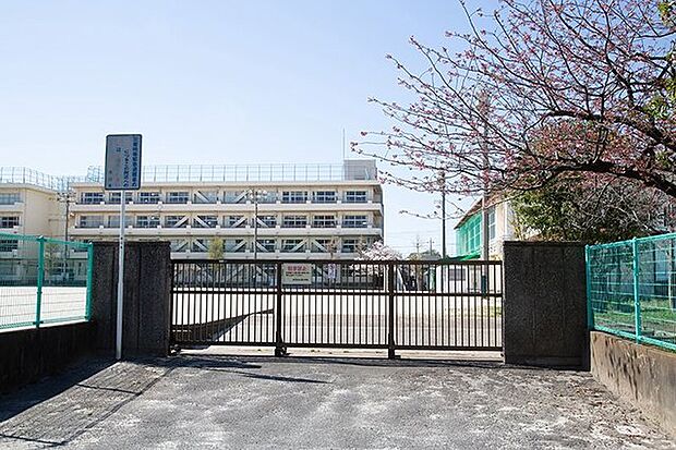 市川市立大野小学校（320m）