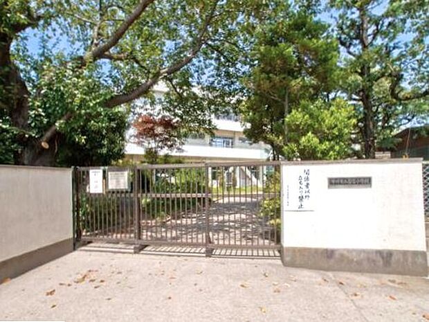 市川市立若宮小学校（600m）