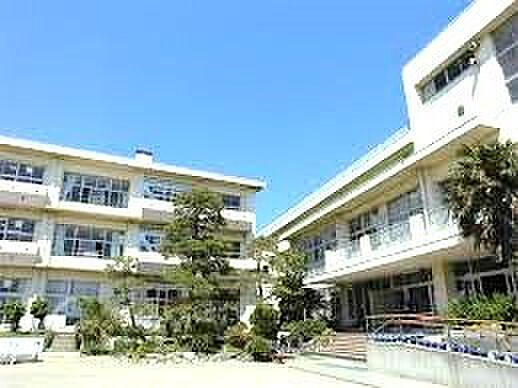 千葉市立稲毛小学校(450m)