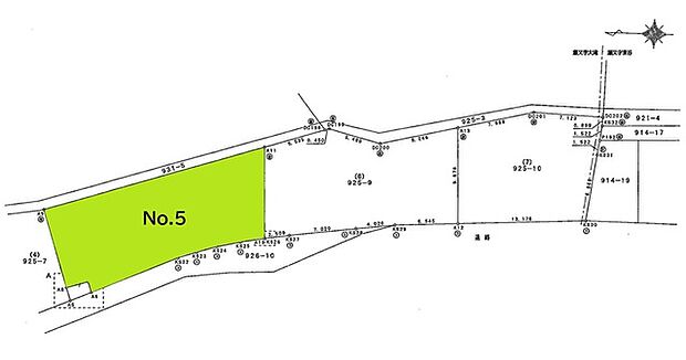 5号地