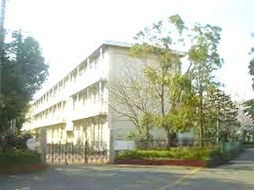 千葉市立畑小学校(1200m)