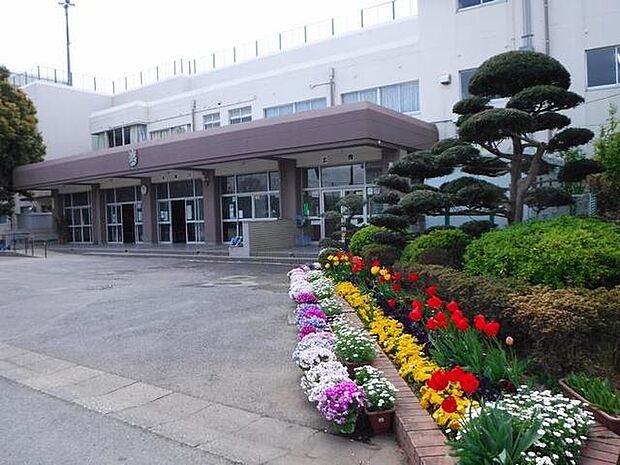 船橋市立咲が丘小学校(480m)