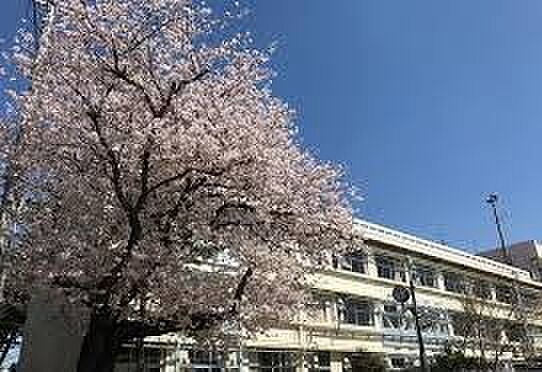 船橋私立八栄小学校(400m)