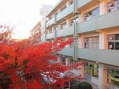 船橋市立法田中学校(600m)