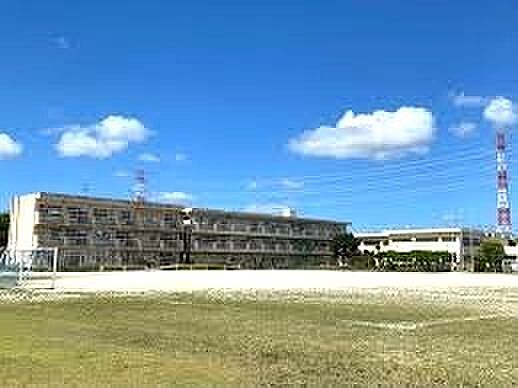 市原市立若葉小学校(1000m)