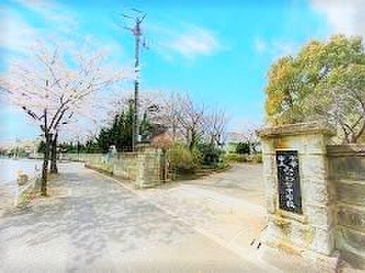 千葉市立みつわ台中学校(560m)