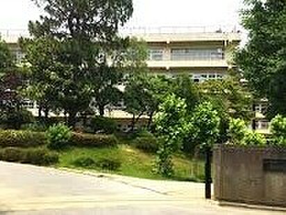 八千代市立大和田中学校（1000m）