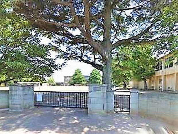 千葉市立犢橋小学校(417m)