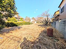 千葉県八千代市大和田新田