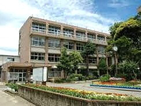 鎌ケ谷市立初富小学校(989m)