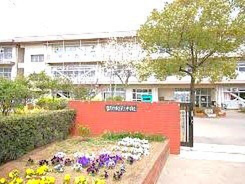 習志野市立第三中学校（1000m）