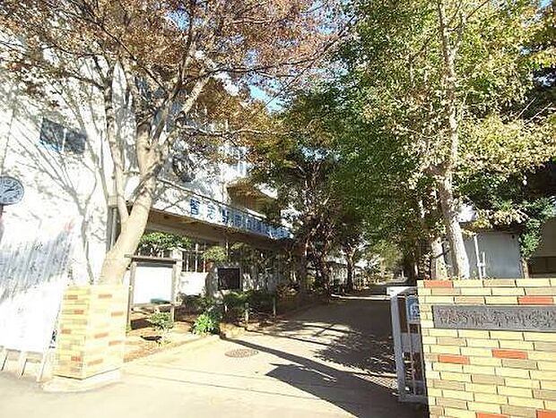 習志野市立第四中学校(1000m)