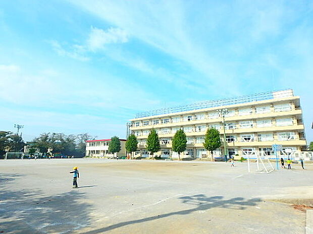 市川市立柏井小学校(1100m)