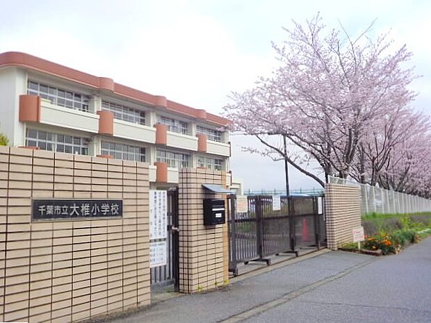 千葉市立大椎小学校(890m)