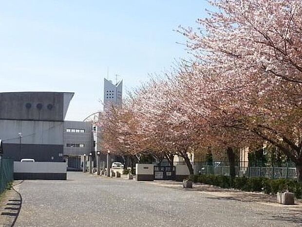 八街市立八街北中学校（2000m）