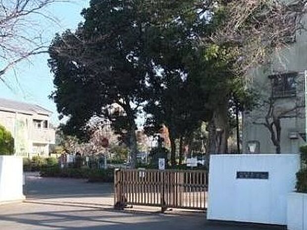 佐倉市立佐倉小学校(240m)