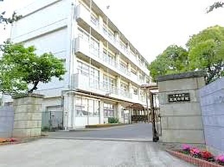 千葉市立高洲中学校(550m)