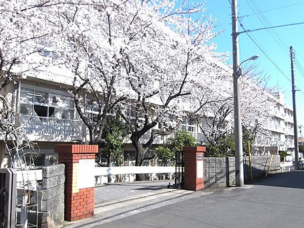 千葉市立宮野木小学校(520m)