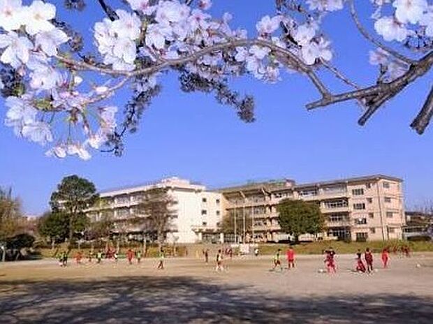 八千代市立大和田中学校（1100m）