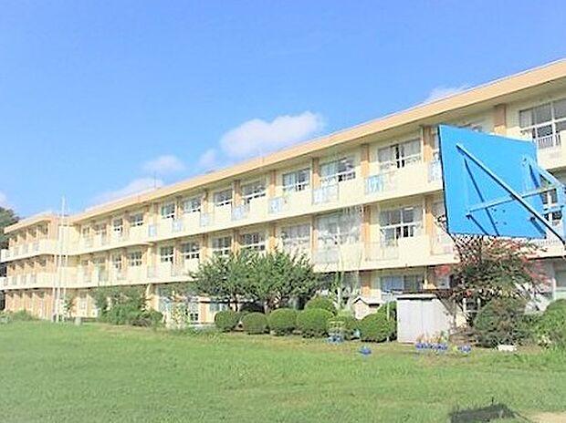 千葉市立横戸小学校（903m）