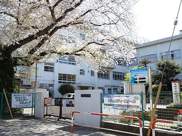 市川市立大柏小学校（1100m）