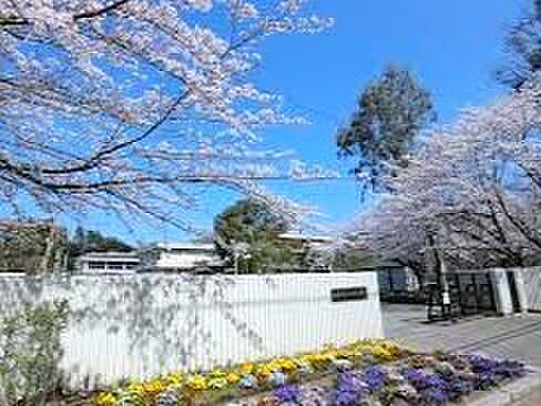 佐倉市立小竹小学校(700m)