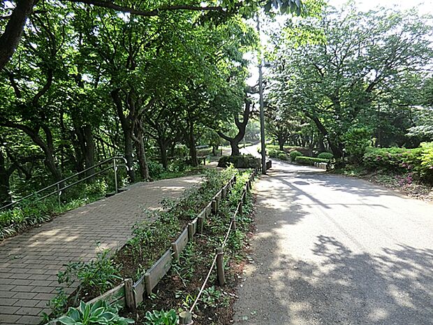 横浜市役所 環境創造局 神の木公園　3800ｍ