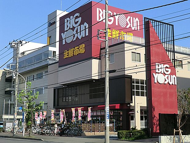 BIG YOSUN(ビッグ ヨーサン) 樽町綱島店　500ｍ