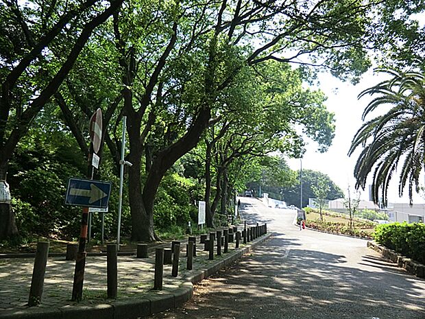 夢見ケ崎公園?720m