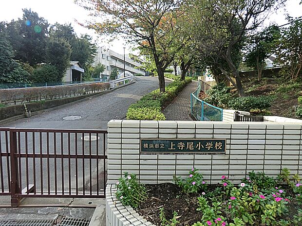 横浜市立上寺尾小学校　325ｍ