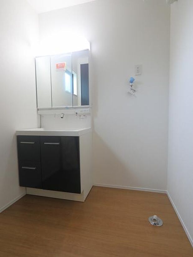 三面鏡の裏は機能的な収納を配置。コンセントも付いているため電動シェーバーや電動歯ブラシも収納できます。