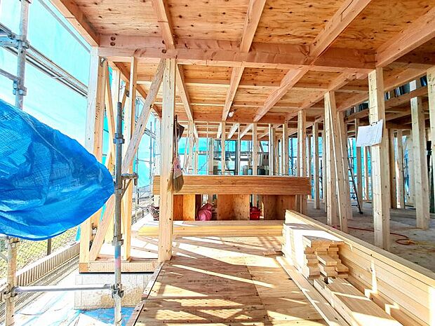 実際見ないと感じられない陽当たりや間取をぜひ現地でご確認ください(2025.11.14撮影)