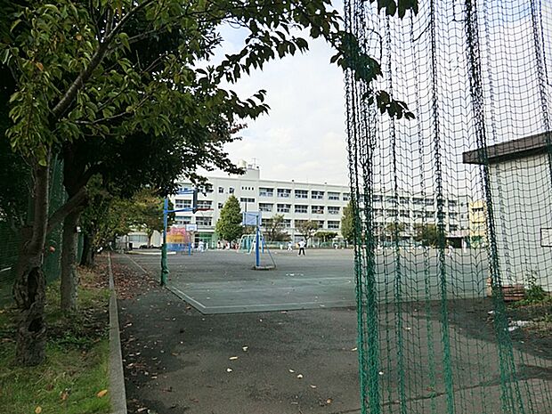 横浜市立大綱小学校　480ｍ