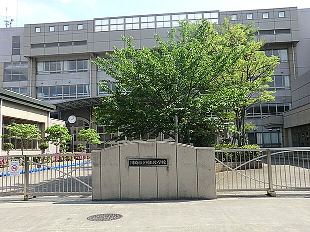 川崎市立稲田小学校?800m