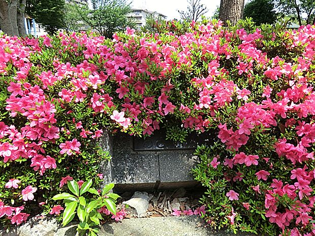 東山田あさやけ公園 270m
