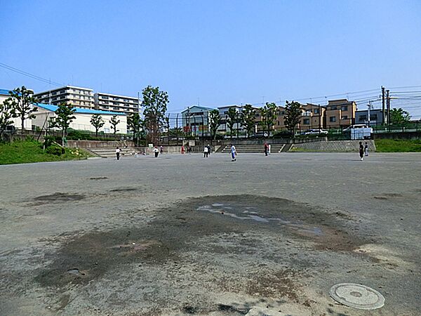 白山公園　800ｍ