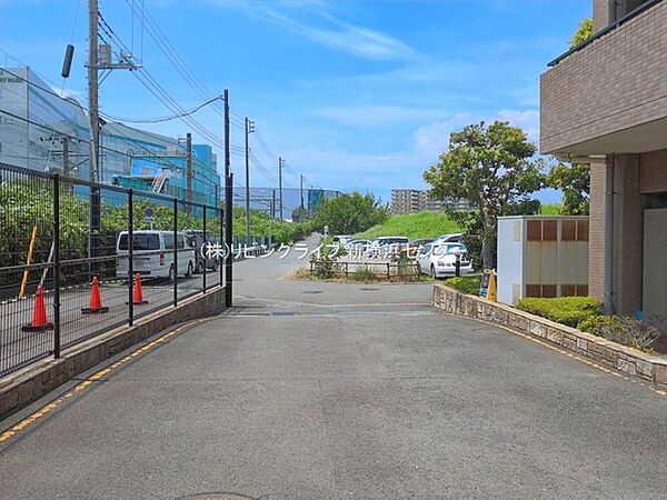現地写真